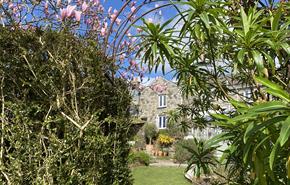 cottage front with blossom and hedges in the foreground