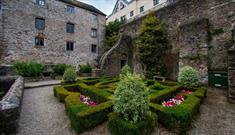 A view of the garden