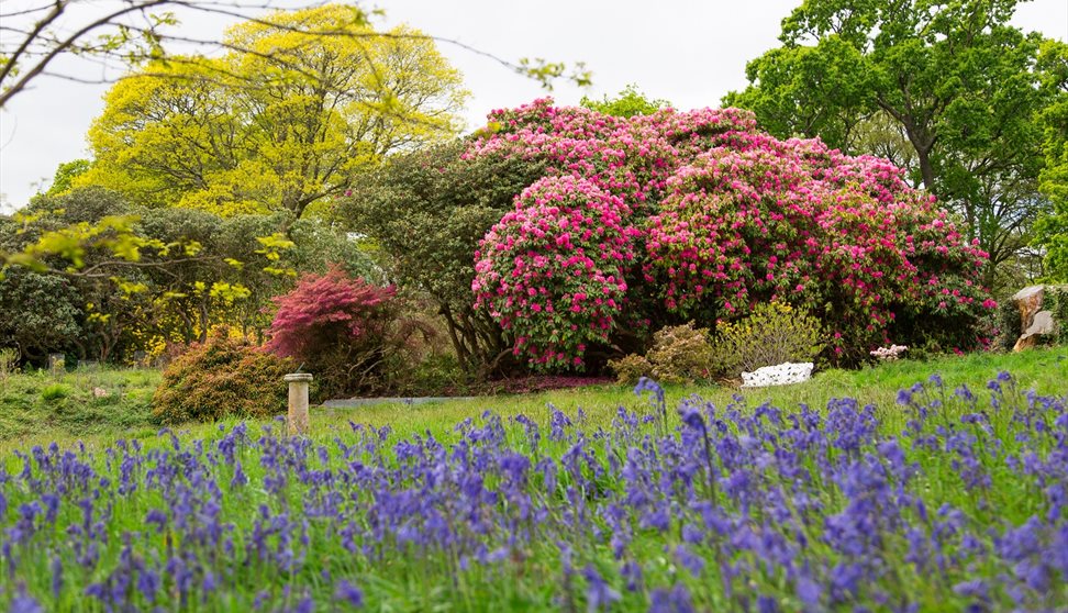 Garden Open Day at Pentillie Castle & Estate Garden Open Day at Pentillie Castle & Estate