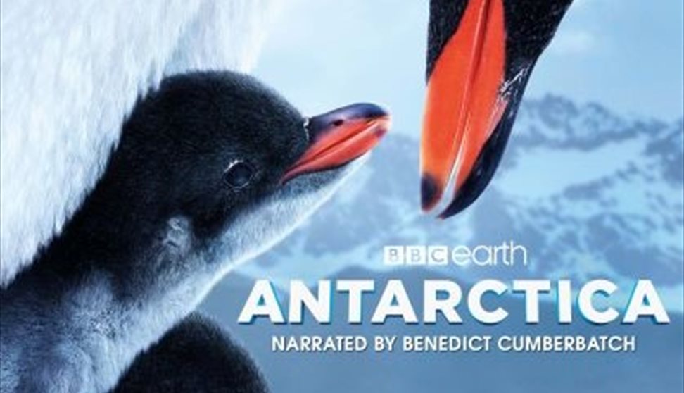 Immersive Dome Experience - Antarctica Immersive Dome Experience - Antarctica