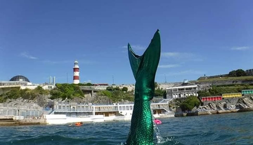 The Mermaid Challenge The Mermaid Challenge