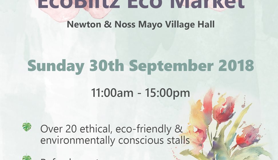 Newton & Noss Mayo Sustainable Market