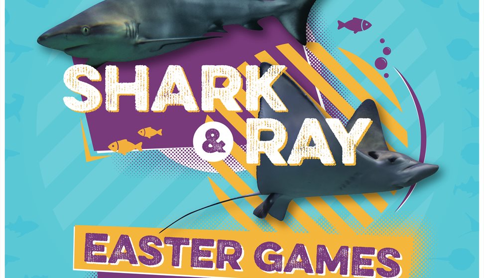 Shark and Ray Easter Games