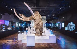 Woolly Mammoth display
