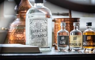 Barbican Botanics Gin Room