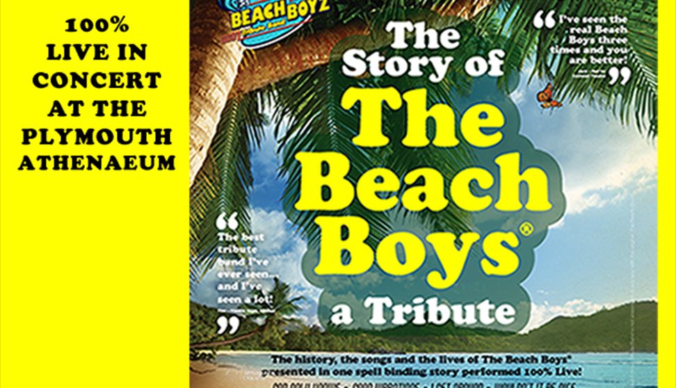 The Story of the Beach Boys: A Tribute