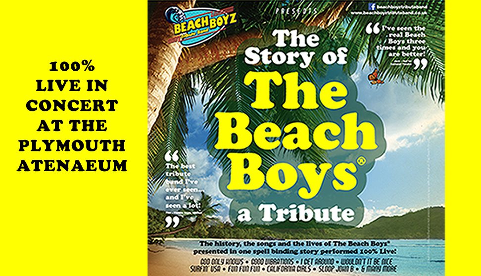 The Story of The Beach Boys - A Tribute