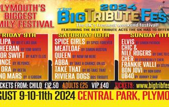 The Big Tribute Festival