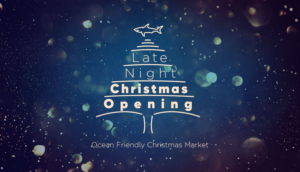 Late Night Christmas Opening and Ocean Friendly Market
