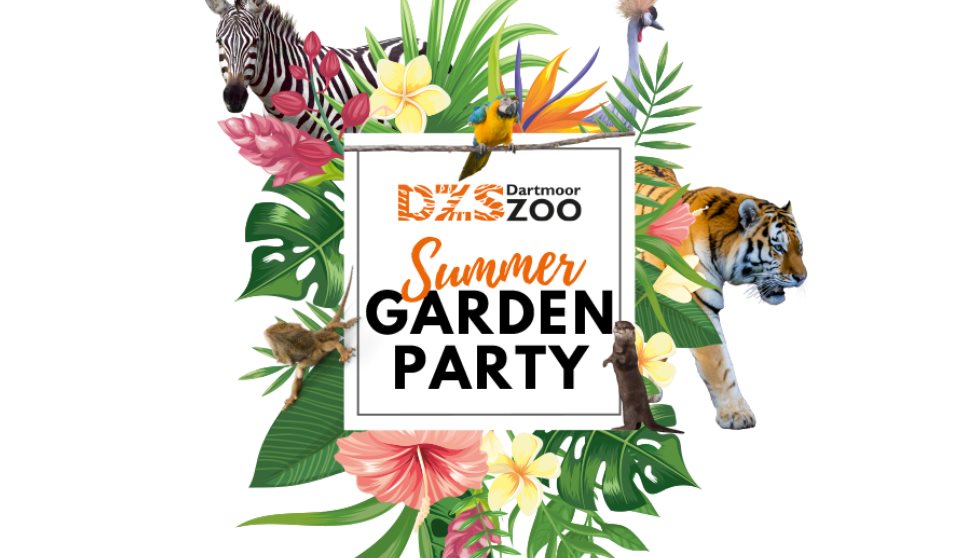 DZS Summer Garden Party