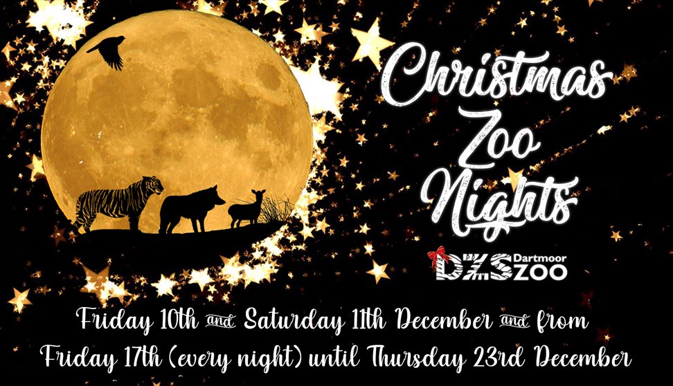 Christmas Zoo Nights