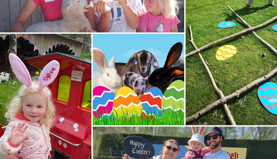 Easter Holiday Fun at Pennywell Farm!