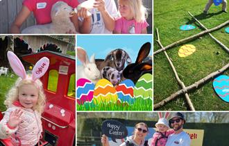 Easter Holiday Fun at Pennywell Farm!