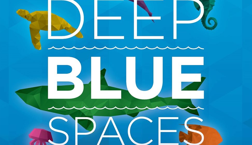 Deep Blue Spaces: October Half Term at the Aquarium