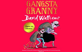 Outdoor Theatre: David Walliams' Gangsta Granny