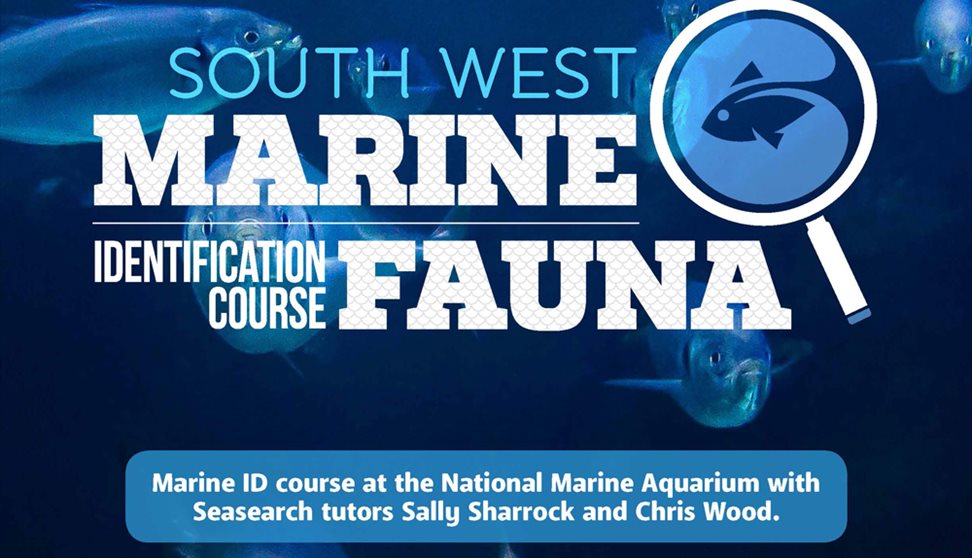South West Marine Fauna Identification Course