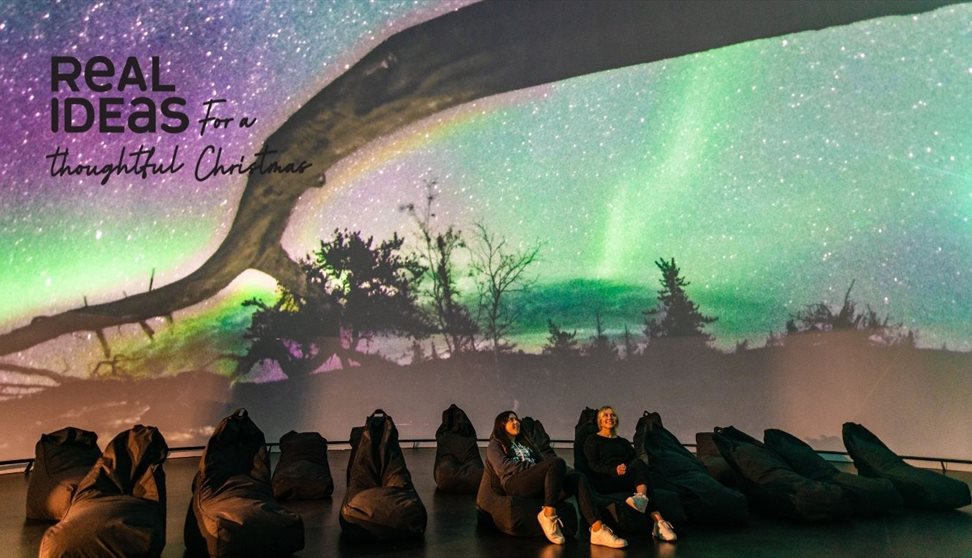 Northern Lights Experience - Dome Screening