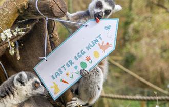 Easter at Paignton Zoo