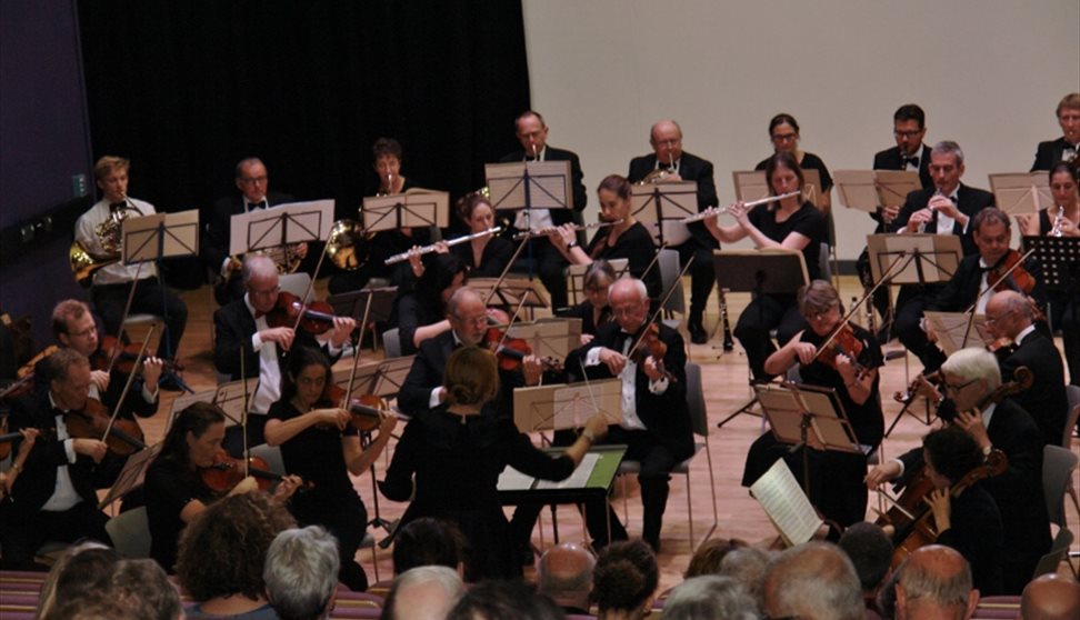 Music: Peninsula Doctors' Orchestra Concert