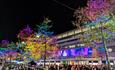 The trees lit up with colourful lights as part of the Christmas lights switch on event