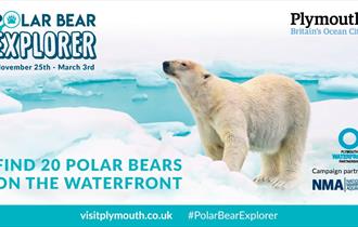 Polar Bear Explorer Workshops 2018