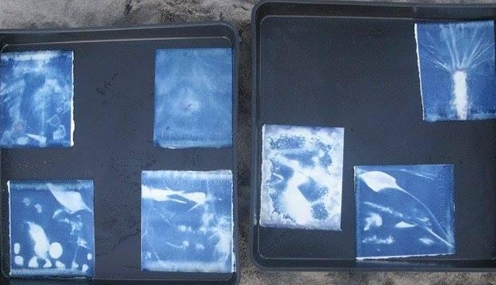 Sun printing with Cyanotypes