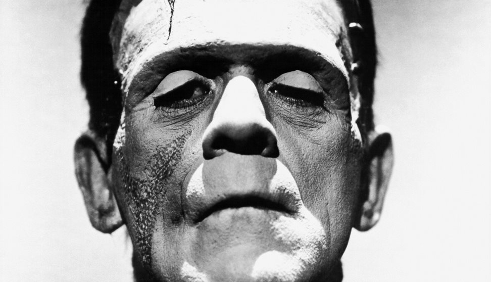 Nearly in the shadow of my own vampire: Mary Shelley's Frankenstein 201 years later