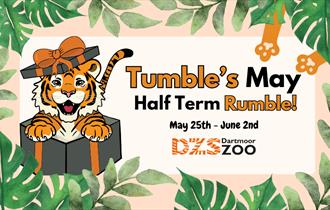 Tumble's May Half Term Rumble!