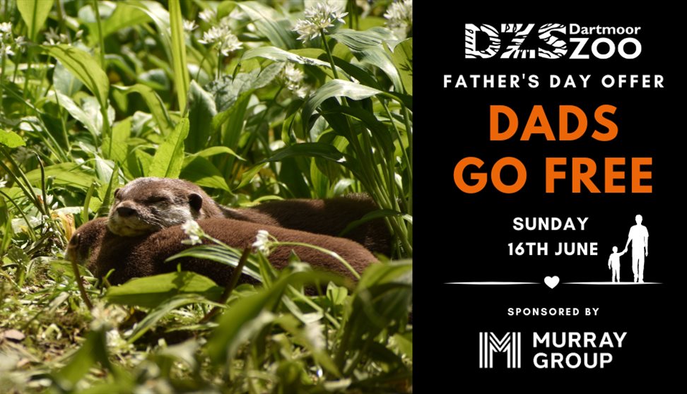 Father's Go FREE at Dartmoor Zoo