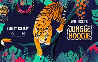 Viva Disco's Jungle Boogie