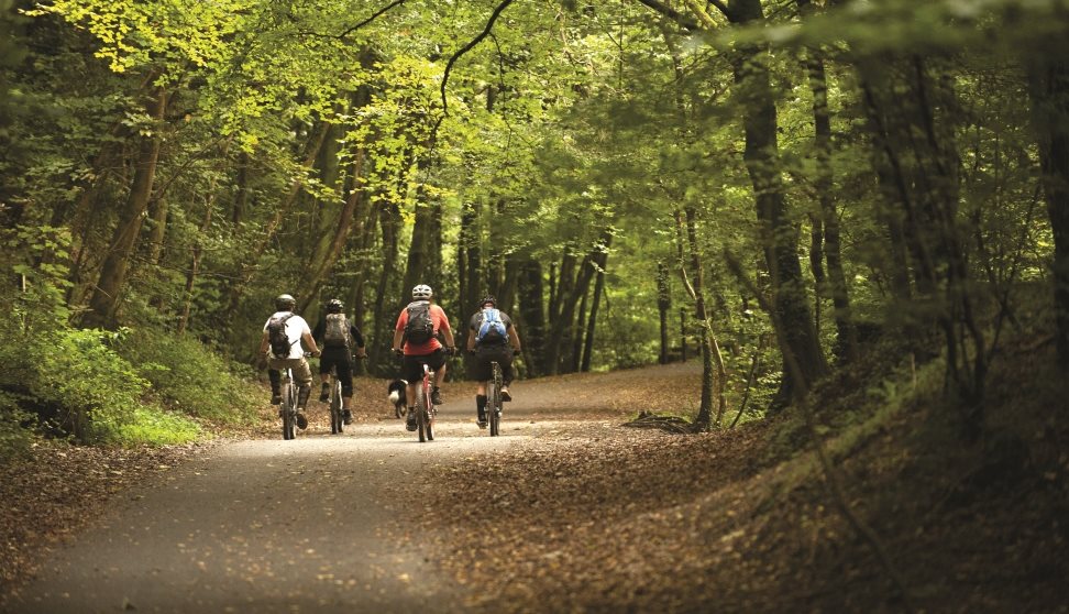 Cyclists riding through the Plym Valley.