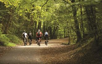 Cyclists riding through the Plym Valley.