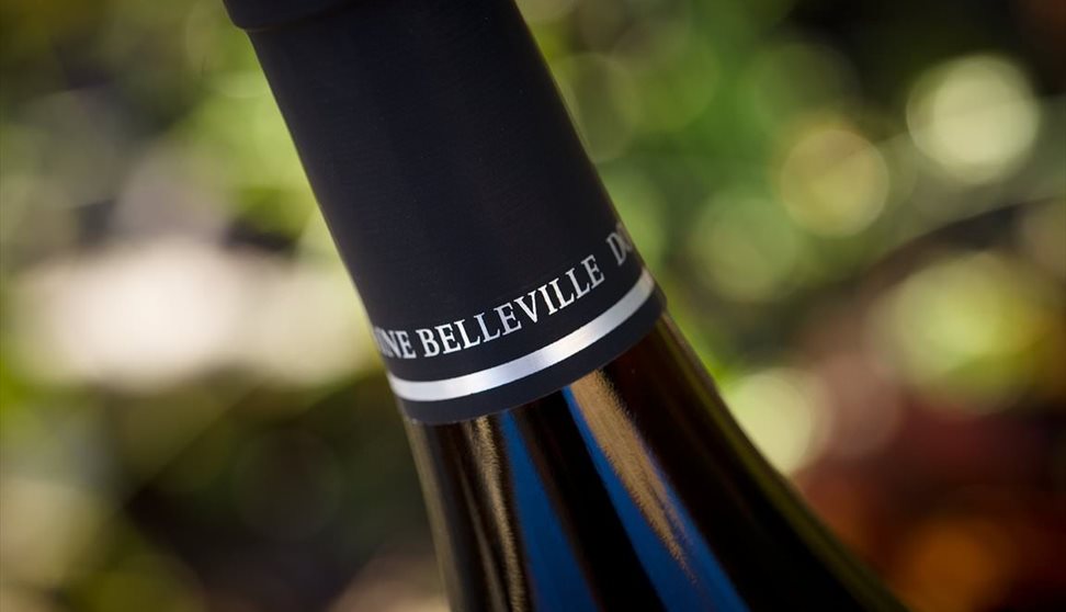 Domaine Belleville 'Meet The Winemaker'