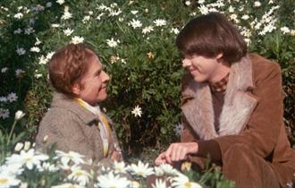 Film: Harold and Maude (1971)