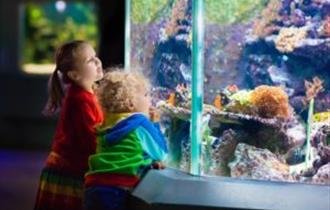 Wild about Plymouth: Aquarium Evolving
