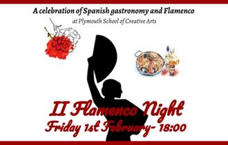 Flamenco Night