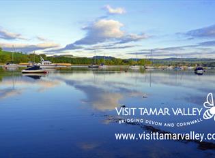 Visit Tamar Valley