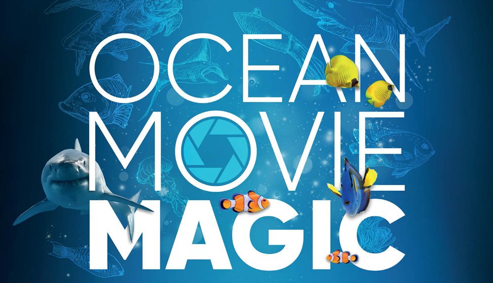Ocean Movie Magic Half Term