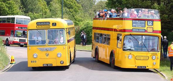 Yellow vintage buses filled with passengers in the sunshine