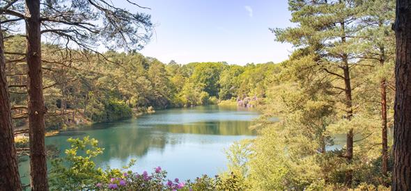 The Blue Pool landscape and flora