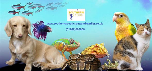colourful image of pets including sea animals.