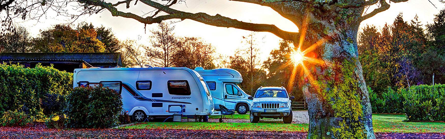 Caravans lined up in parked with the sun setting behind the trees