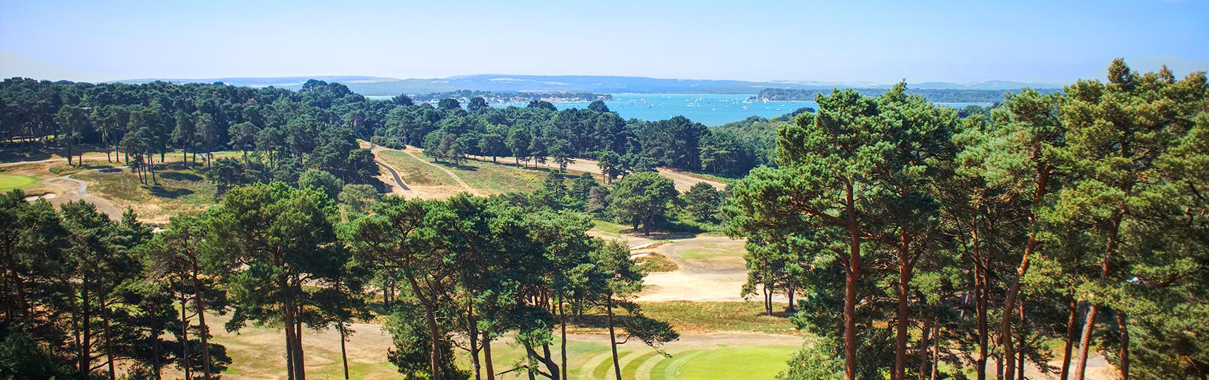View of a green golf course with beautiful trees, grass and view of the sea with a blue sky