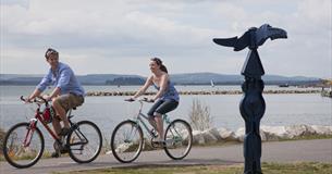 Couple riding their bikes alongside Poole harbour 