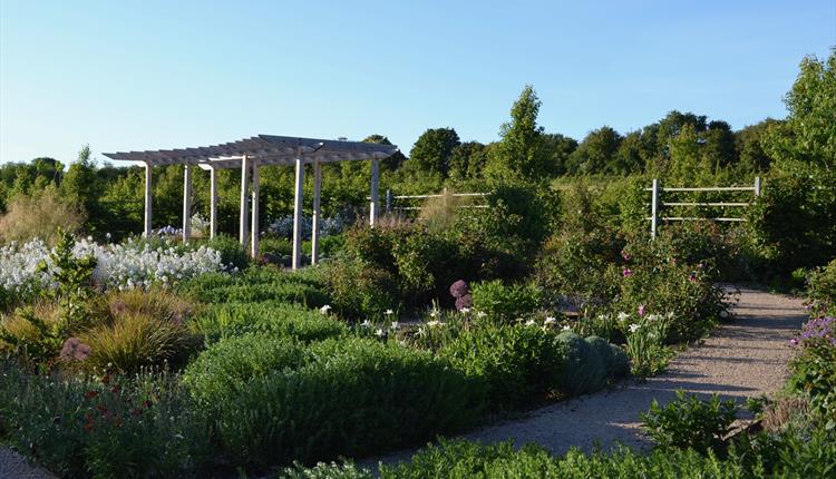 Sunny day in the garden at Keyneston Mill.