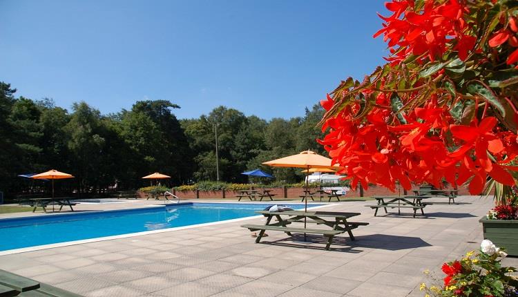 Spacious outdoor guest pool on a clear day