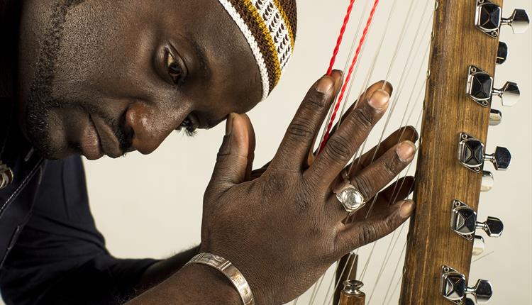 A close up shot of a musician strumming a kora.