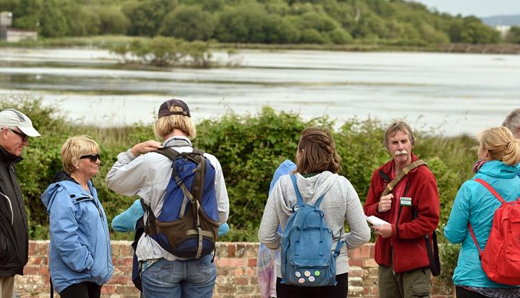 A group of people standing chatting and looking across the lagoon on Brownsea Island