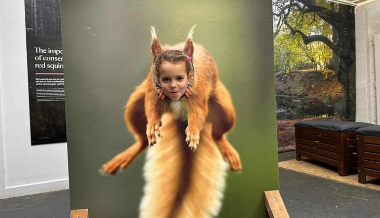 Girl with face through giant red squirrel cut out