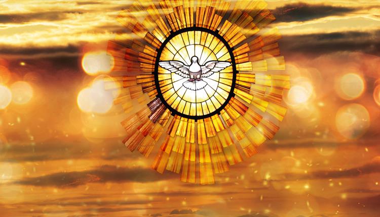 Graphic image of a dove in a stained glass window